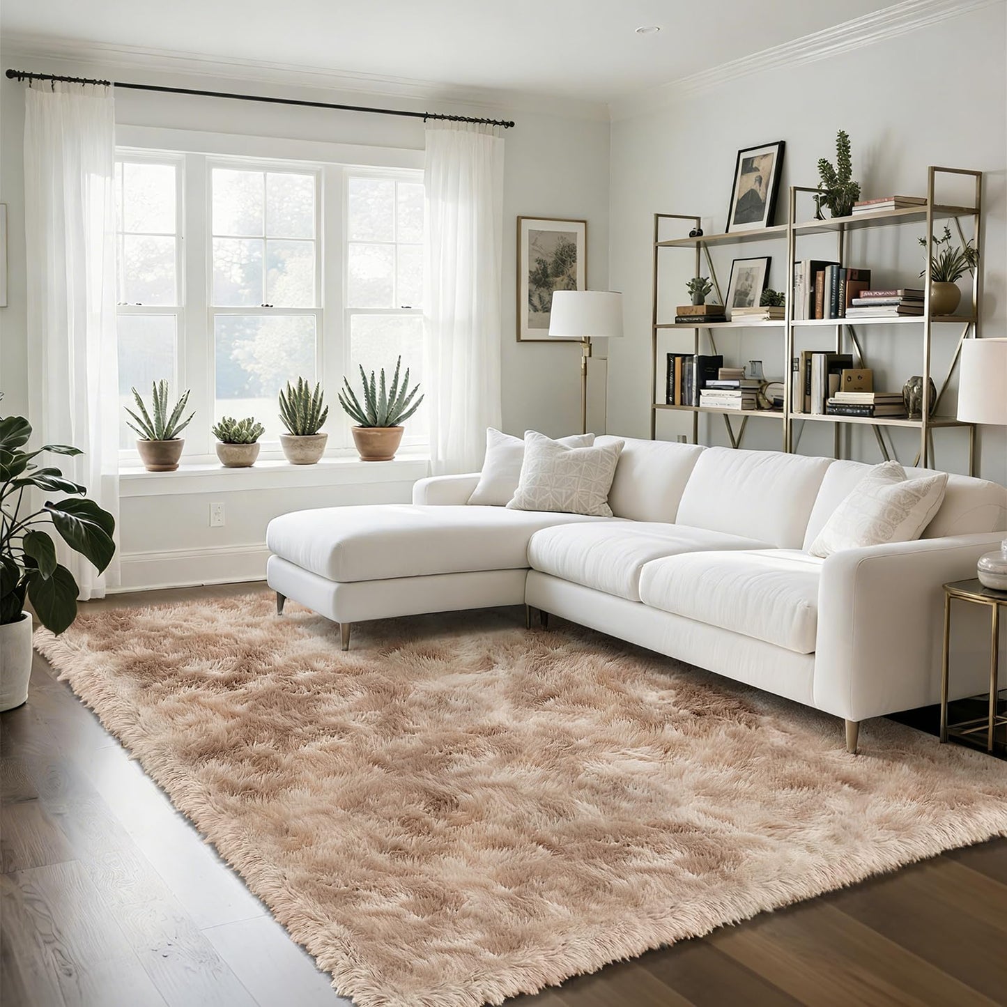 Fluffy Rug Shag Area Rug, Black 2x4 Area Rugs for Bedroom, Small Bedside Rug, Soft Fluffy Shag Entryway Throw Rugs for Living Room Bedroom Room Home Decor