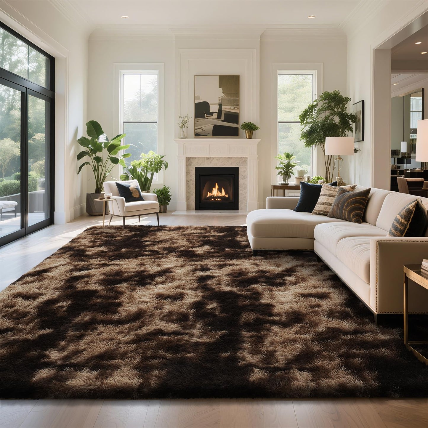 Fluffy Rug Shag Area Rug, Black 2x4 Area Rugs for Bedroom, Small Bedside Rug, Soft Fluffy Shag Entryway Throw Rugs for Living Room Bedroom Room Home Decor