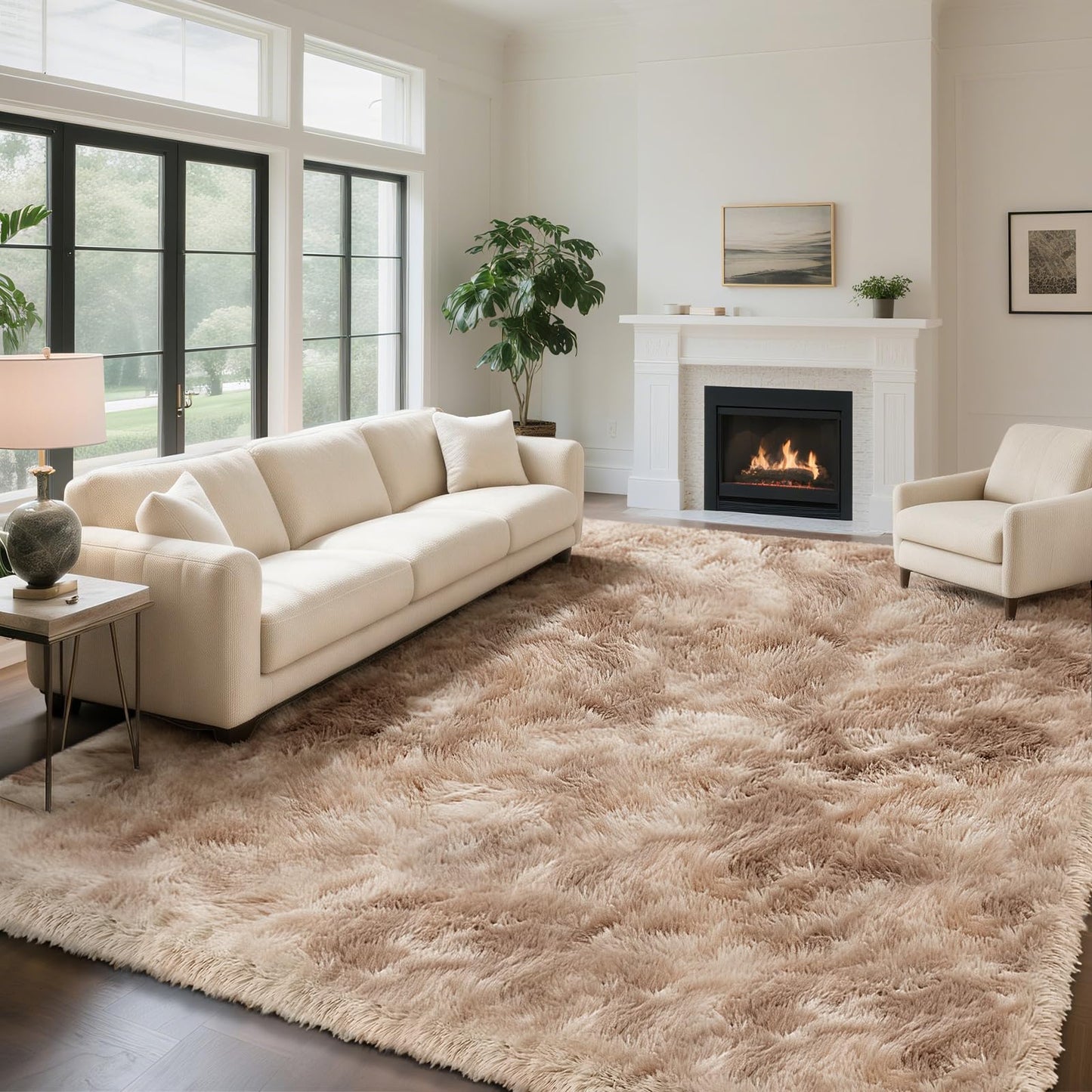 Fluffy Rug Shag Area Rug, Black 2x4 Area Rugs for Bedroom, Small Bedside Rug, Soft Fluffy Shag Entryway Throw Rugs for Living Room Bedroom Room Home Decor