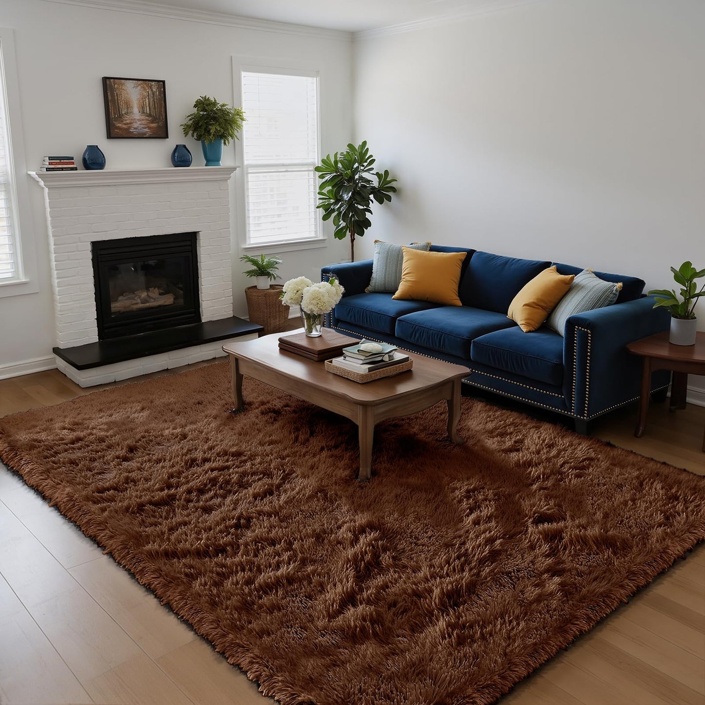 Fluffy Rug Shag Area Rug, Black 2x4 Area Rugs for Bedroom, Small Bedside Rug, Soft Fluffy Shag Entryway Throw Rugs for Living Room Bedroom Room Home Decor