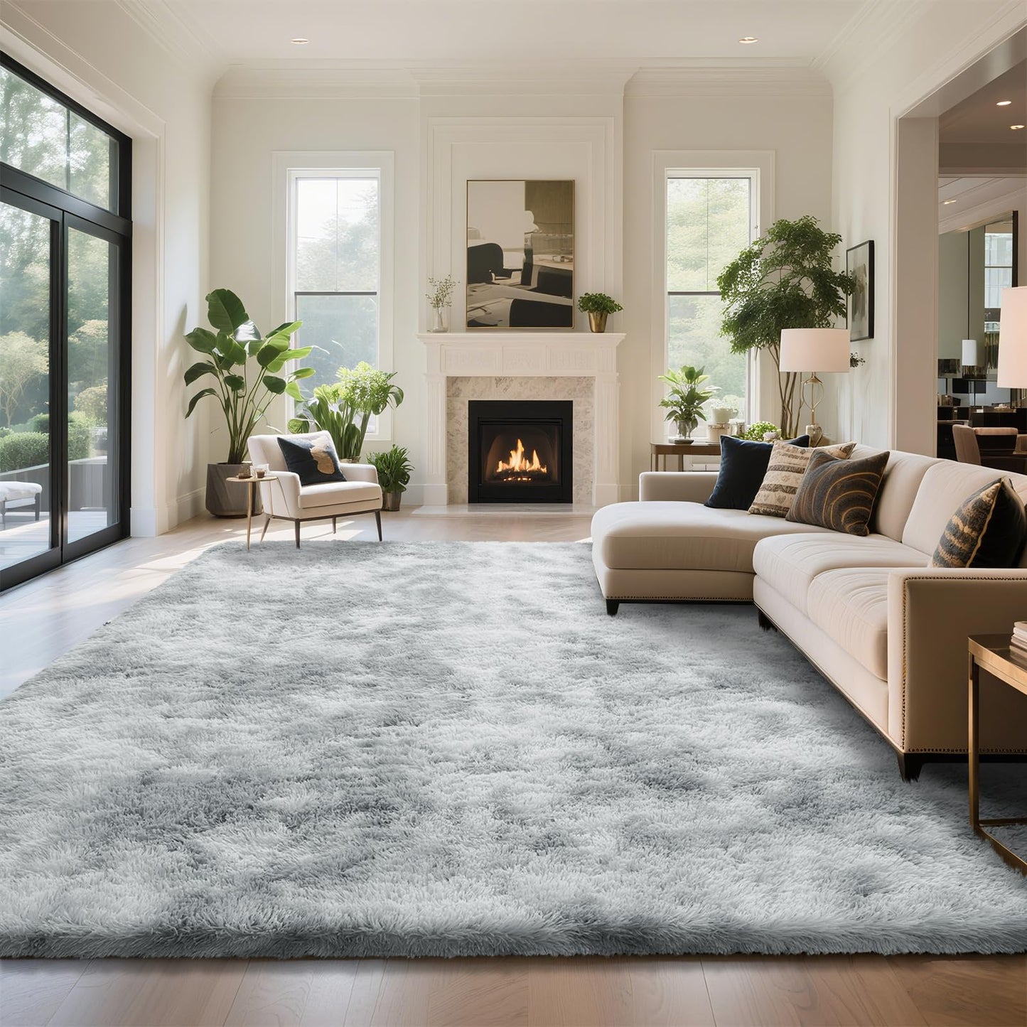 Fluffy Rug Shag Area Rug, Black 2x4 Area Rugs for Bedroom, Small Bedside Rug, Soft Fluffy Shag Entryway Throw Rugs for Living Room Bedroom Room Home Decor